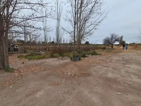 Alquiler Finca 50 hectareas en Rivadavia