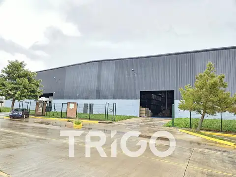 Galpon en Alquiler 7 años