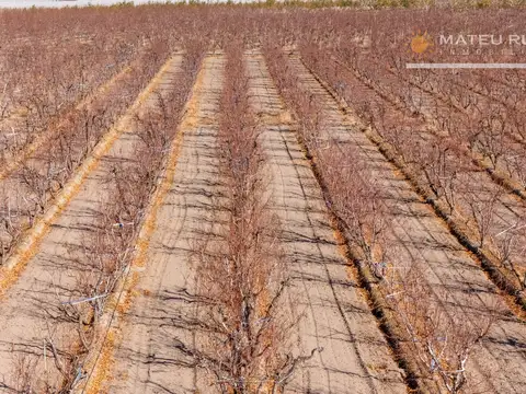 Campo en Venta de 46  ha