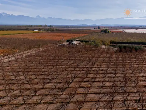 Campo en Venta de 46  ha