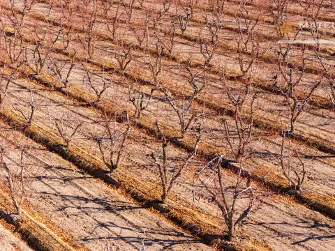 Finca en Cordón del Plata