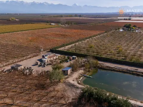 Campo en Venta Fruticola