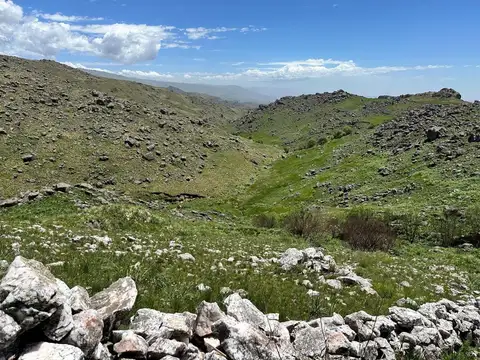 CAMPO DE 169 HECTÁREAS EN EL DURAZNO – VALLE DE CALAMUCHITA