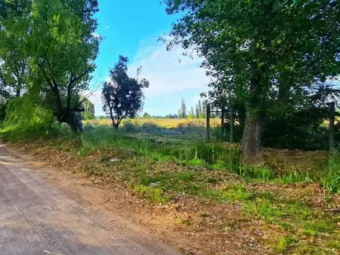 Terreno en Venta de 10000,0 m2