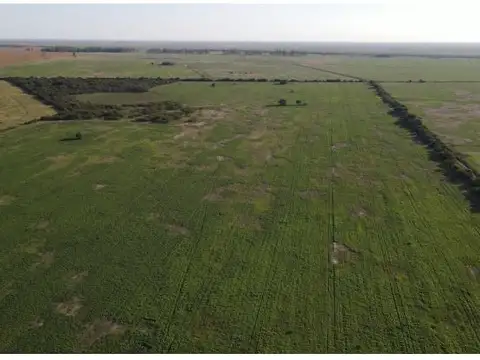 Campo mixto de 198 has, sexto Gualeguay