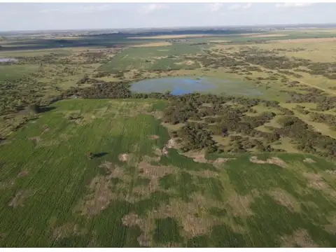 Campo mixto de 198 has, sexto Gualeguay