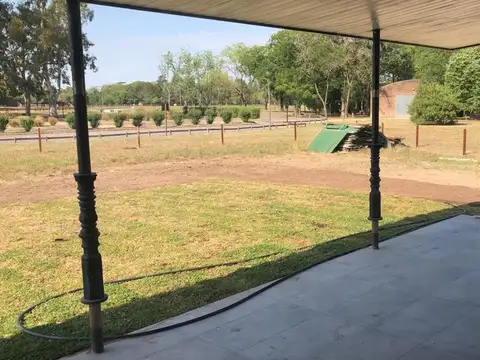 Ruta Provincial 4 1000