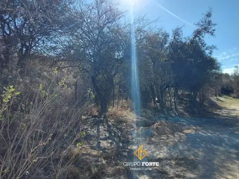 Terreno en Venta de 762,0 m2