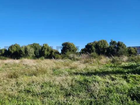 Terreno en Venta de 251,9 m2