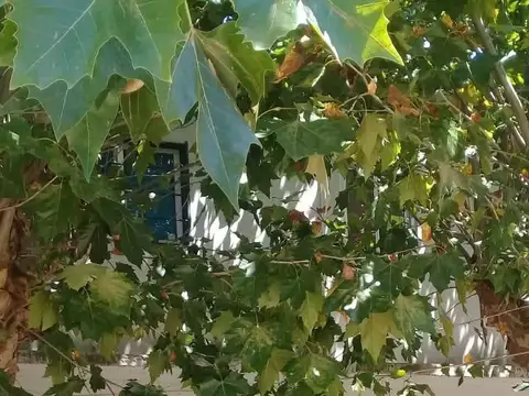 Dúplex en alquiler en San Miguel