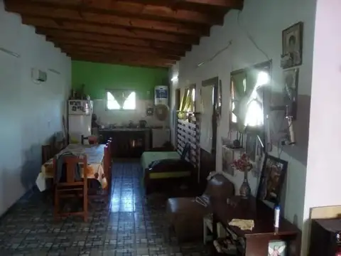 Las Camelias y Los Pensamientos