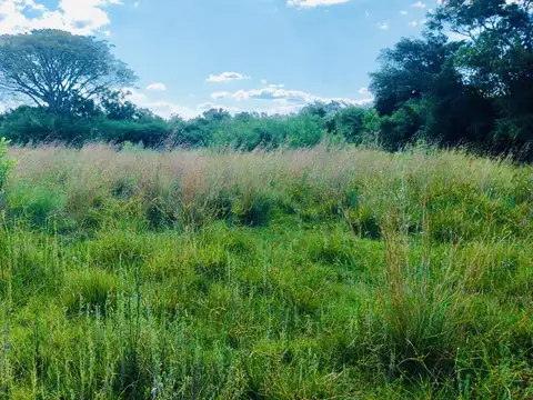 Av. V. Blasco Ibañez