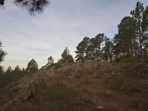 Terreno en Venta de 5834,0 m2