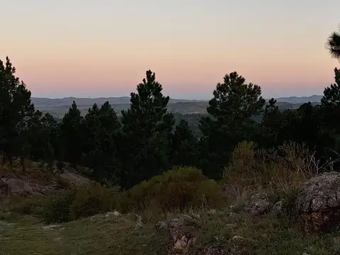Terreno en Venta de 5834,0 m2