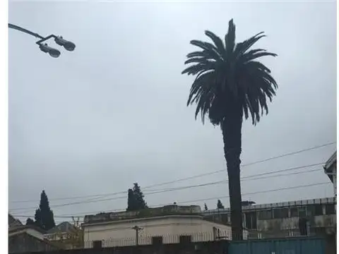 Local en Venta en Lomas De Zamora, USD 1.080.000