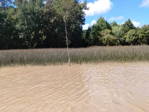 Rio o Arroyo Capitán Carpinchera 100