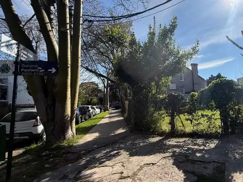 Paunero esquina Paso Martinez vias a Libertador