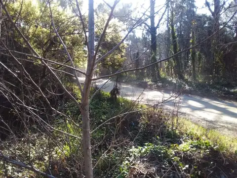 En Cariló, lote en calle Palmera y Jilguero. A1 .-
