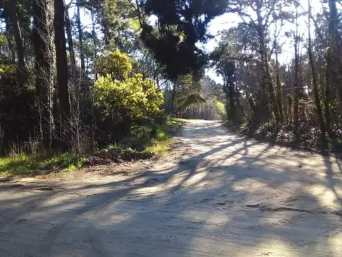 Terreno en Venta en Carilo, USD 120.000