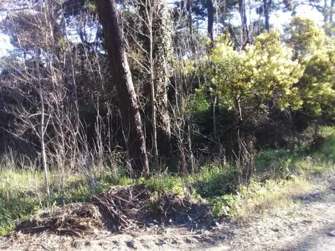 En Cariló, lote en calle Palmera y Jilguero. A1 .-