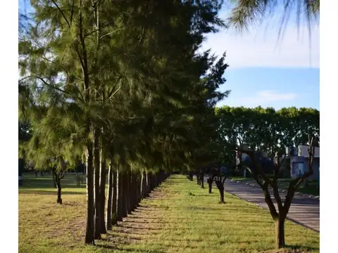 Terreno en Venta 200  mts Frente