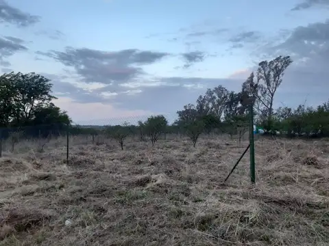 VENTA TERRENO 925 M2 ANISACATE