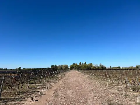 km43