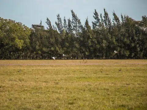 Terreno en Venta de 1050,0 m2