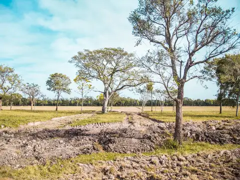 Terreno en Venta de 1050,0 m2