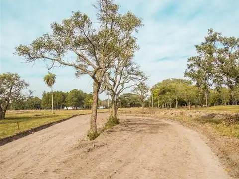 TERRENOS/FRACCIONES/LOTEOS - LOTEOS - CORRIENTES