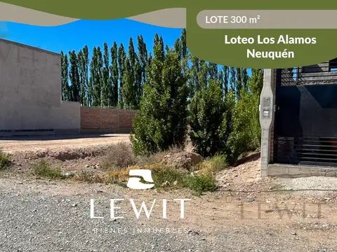 VENTA LOTE 300 m² NEUQUEN Bº LOS ALAMOS ALTURA BEJARANO AL 1700
