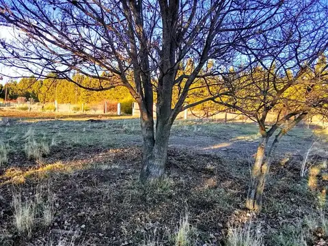 Terreno en Venta en Dina Huapi, USD 56.000