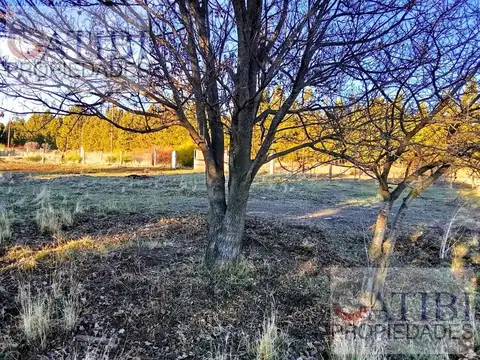 Terreno en Venta en Dina Huapi, USD 56.000