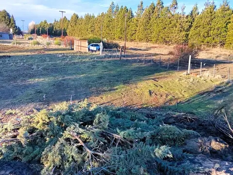 Camino Viejo 365 - Ñirihuau - Dina Huapi