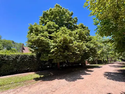 Quinta en Alquiler en Ranelagh, USD 3.000