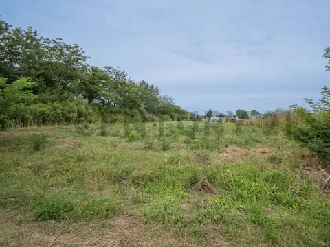 Terreno en Venta 20  mts Fondo