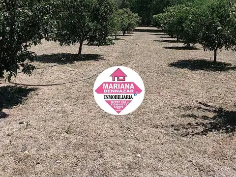 CHACRA EN VENTA - BARRIO CERRADO - ALSINA