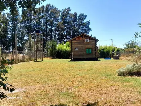 CIERVO DE LOS PANTANOS Y DE LAS GALLARETAS 1 (7130), Chascomús, Buenos Aires, Argentina