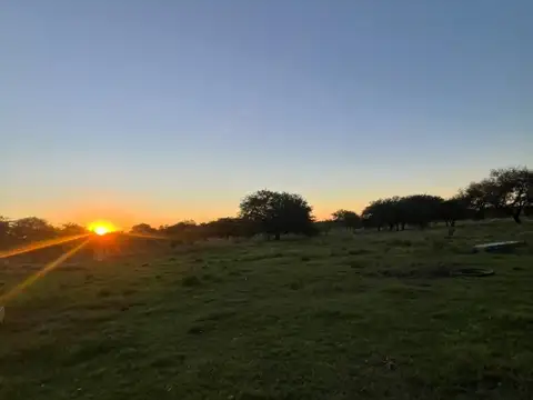 Campo en Venta Chacra