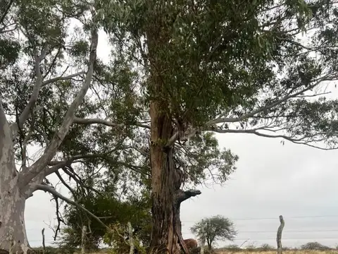 Campo en Venta Chacra