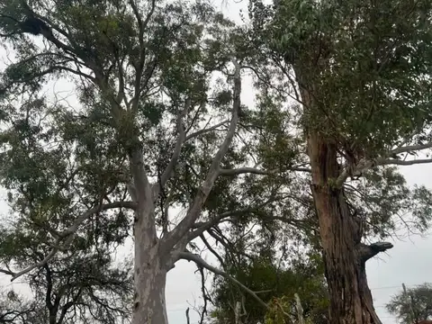 Campo en Venta de 13  ha