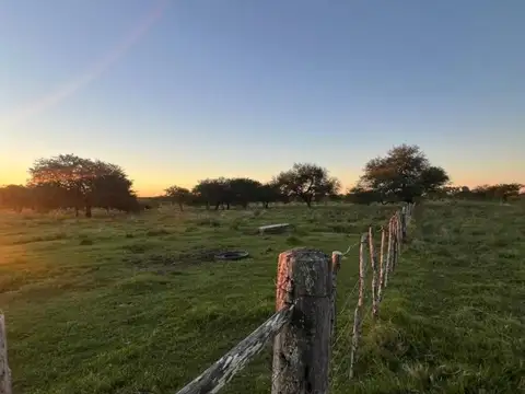 Ruta Provincial 57 Sauce