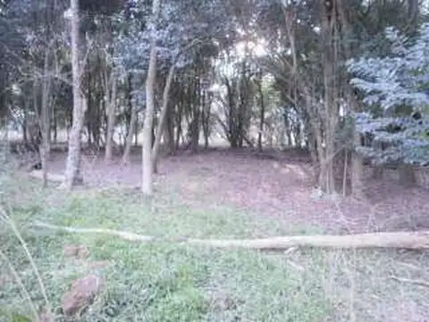 Campo en Alquiler con Alambrado