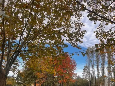 Terreno en Venta en Ezeiza, USD 35.000