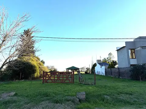 Las Torcazas 2500