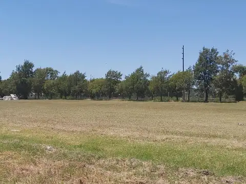 Terreno en Venta de 1000,0 m2