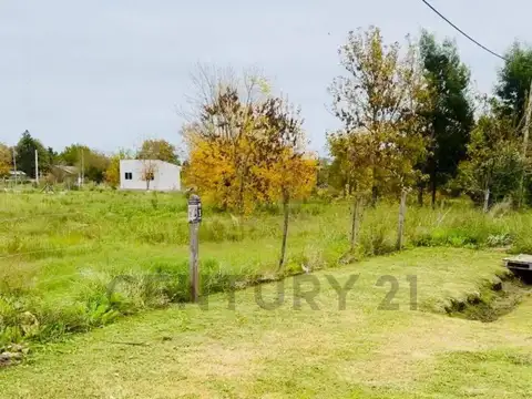 Propiedad 106416