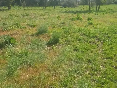 Casa en Venta de 1 dormitorio