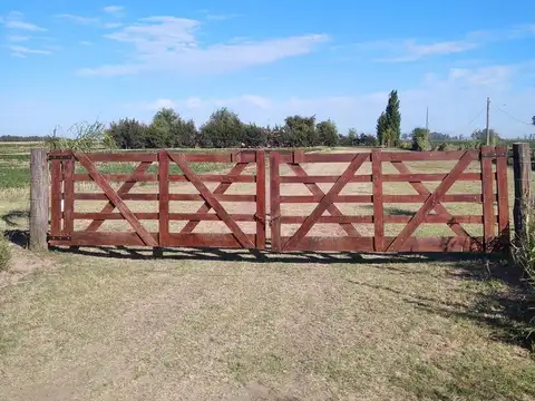 Campo en Salto Grande