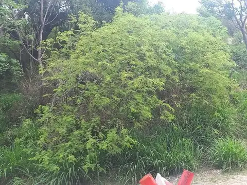 Terreno en Venta en La Serranita, USD 16.000